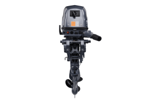 Мотор ОМОЛОН MP 9.9 AWRS Pro